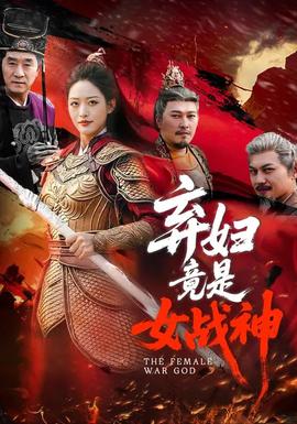 弃妇竟是女战神——绝密飞行国语