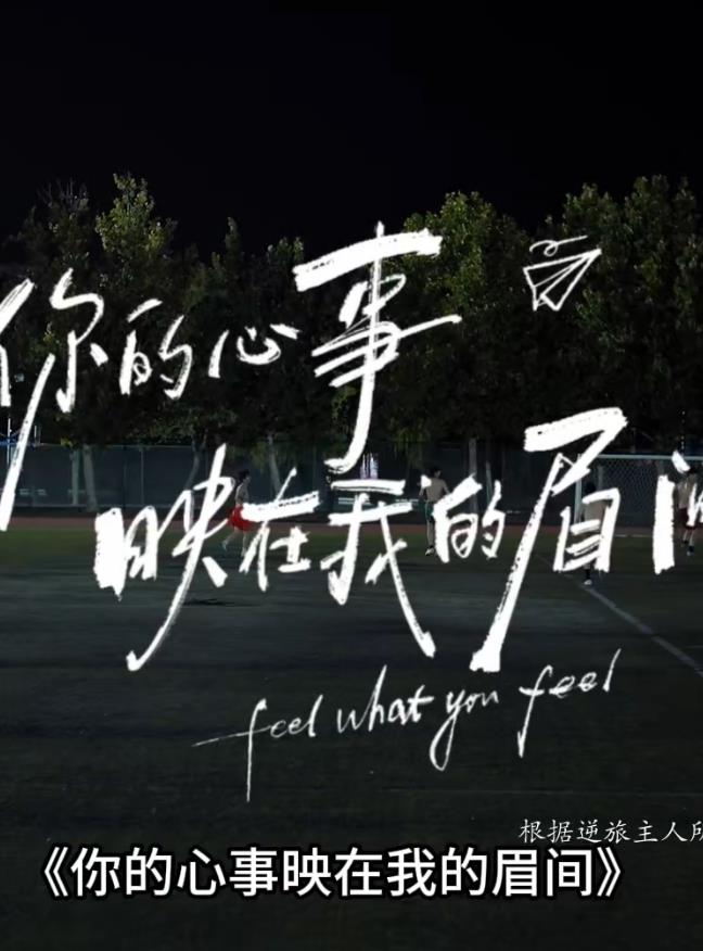 你的心事映在我的眉间——萌鸡小队动画片全集